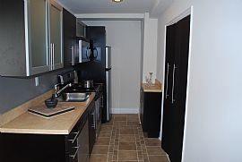 Renovated 1 BDR/1 BA near Chestnut Hill in Philadelphia, PA (Photo 4 of 6)