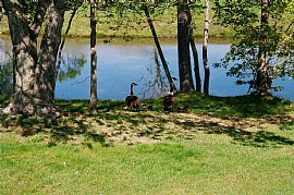 Excellent Schools Great Location   in Morganville, NJ (Photo 1 of 6)