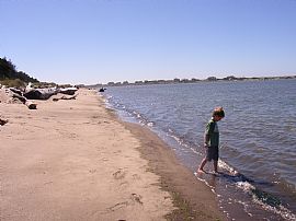 New Upscale Nantucket Style Home on Sand Beach! in Lincoln City, OR (Photo 5 of 6)