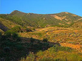 Reduced Price, Beautiful New 3 BR Townhome! in Cedar Hills, UT (Photo 4 of 5)