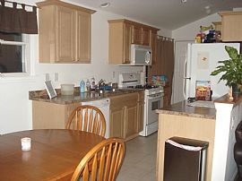 Only One Year Old in Manchester, NJ (Photo 6 of 6)