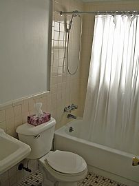 Great Ferndale Home in Ferndale, MI (Photo 4 of 4)