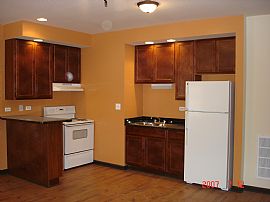 Newly Renovated 2 and 3 Bedroom Units in Chicago, IL (Photo 3 of 3)