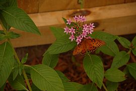 Restored Victorian Near Downtown Tampa in Tampa, FL (Photo 6 of 6)
