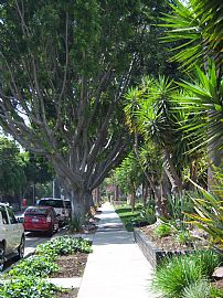 Best Neighborhood in Hollywood! You will love living here! in Hollywood, CA (Photo 3 of 6)