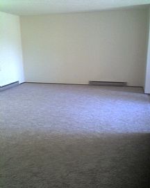 Everything Brand New! A/C too! in Olympia, WA (Photo 2 of 4)