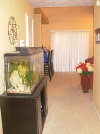 Nice 3 Bedroom, 2 Bath House in Burnetts Mill in Suffolk, VA (Photo 3 of 6)