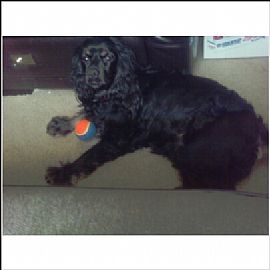 Now Leasing in Nashville, TN (Photo 4 of 4)