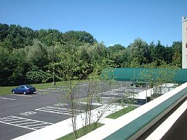 PROVIDENCE CONDO NEAR RI COLLEGE in Providence, RI (Photo 4 of 6)