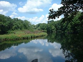 PROVIDENCE CONDO NEAR RI COLLEGE in Providence, RI (Photo 5 of 6)