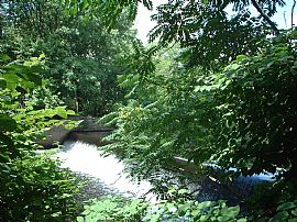 PROVIDENCE CONDO NEAR RI COLLEGE in Providence, RI (Photo 6 of 6)