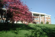 Spacious 2 Bedroom Apts $799 - Great Move in Specials!!!  in Bloomington, MN (Photo 2 of 3)