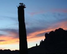 Gated Community, Peaceful, Mountain Views in Apache Junction, AZ (Photo 3 of 6)