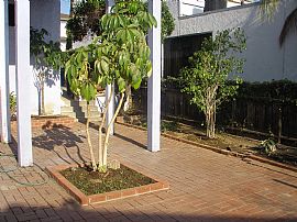 2 bed 2 car garage backyard  ready now in Signal Hill, CA (Photo 2 of 5)