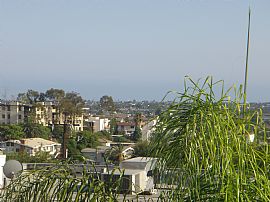 2 bed 2 car garage backyard  ready now in Signal Hill, CA (Photo 5 of 5)