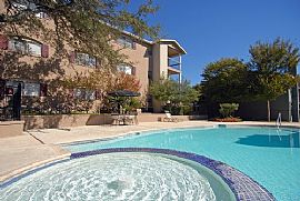 Spacious & Cozy One Bedroom in San Antonio, TX