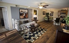 Stylish 2 Bedroom 2 Bath Apartment in Knoxville, TN