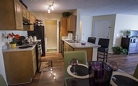 Stylish 2 Bedroom 2 Bath Apartment in Knoxville, TN (Photo 2 of 5)