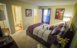 Stylish 2 Bedroom 2 Bath Apartment in Knoxville, TN (Photo 4 of 5)