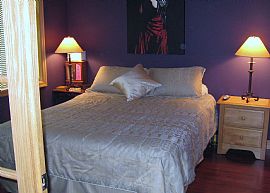 Delightful 2 Bedroom Condo with Fireplace and Balcony in Uptown! in Minneapolis, MN (Photo 3 of 5)