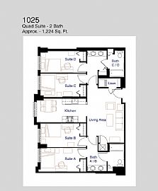 University View Apartment- Free End Of Month! in College Park, MD (Photo 2 of 2)
