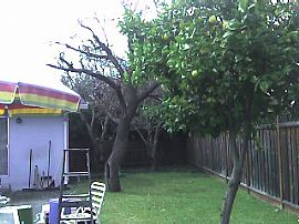 Excellent Location in Palo Alto, CA (Photo 5 of 5)