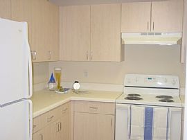 Coral Gables 1/1 near UM & Shopping in Coral Gables, FL (Photo 3 of 5)