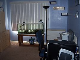 Newly Renovated Condo in Gated Community in Carson, CA (Photo 2 of 6)