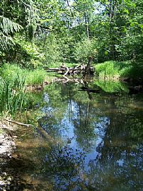 A Rental With Room To Breathe in Mc Cleary, WA (Photo 2 of 3)