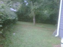 5 Min. Walk To East Atlanta Village! in Atlanta, GA (Photo 6 of 6)