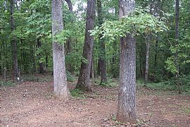 Private home With 7 Acres And Large Garage With Workshop in Jackson, GA (Photo 6 of 6)