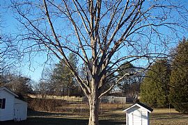 Quaint Home With Fenced Yard And Fruit Trees in Jackson, GA (Photo 5 of 6)