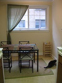 Gorgeous, Spacious Apartment, Hardwood Floors! Plenty Of Sun! in Philadelphia, PA (Photo 3 of 5)