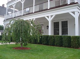 1 BR Beachy Cottage Feel With Urban Undertones in New Rochelle, NY