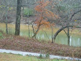 Chattahoochee River Front Cottage, S. Fulton County in Fairburn, GA (Photo 3 of 6)
