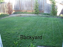 Beautiful 3 Bedroom Home with Fireplace and Views in Beaverton, OR (Photo 4 of 6)