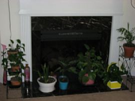 Spacious 3 Bedroom, 2.5 Bath Town Home in Newnan, GA (Photo 3 of 4)