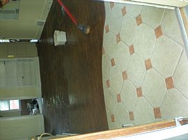 Lovely Home For Rent In Elmwood, UNO Area in Omaha, NE (Photo 4 of 6)