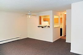 REDUCED! Gorgeous Apartment Renovated FREE Internet And Cab TV in Bristol, CT (Photo 2 of 3)