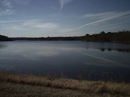 3 BR, 2.5 BA Townhouse at Lake Carolina Town Center in Columbia, SC (Photo 5 of 5)