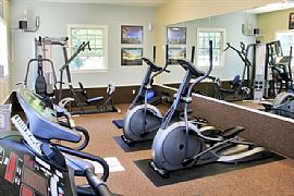 2 BR, 1 BA APARTMENT, 3 Weeks Free Rent!!! $500 Security!!! in Sunderland, MA (Photo 6 of 6)