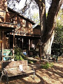 Riverfront 2 Br, 1.5 Ba Apartment Near Usf! in Sulphur Springs, FL