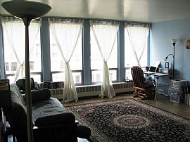 1 BR, 1 BA Apartment On 8th Floor In Beautiful Hyde Park in Chicago, IL