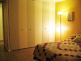 1 BR, 1 BA Apartment On 8th Floor In Beautiful Hyde Park in Chicago, IL (Photo 3 of 6)