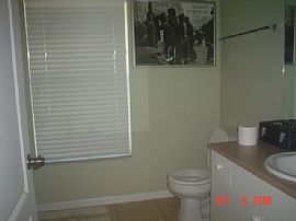 Spacious And Tranquil 3 BR, 2 BA Home Wants Family!  in Cape Coral, FL (Photo 5 of 6)