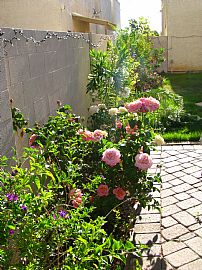 Beautiful Tempe 3 BR, 2 BA Home In Fantastic Location  in Tempe, AZ (Photo 2 of 6)