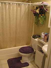 Beautiful Tempe 3 BR, 2 BA Home In Fantastic Location  in Tempe, AZ (Photo 4 of 6)