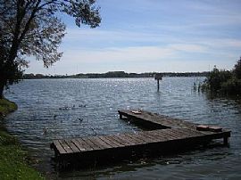 Beautiful 4 BR, 2 .5 BA Lake House For Rent, Available Now in Tampa, FL (Photo 4 of 5)