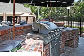 Amazing 4 Br, 4 Ba Apartment By Usf! in Tampa, FL (Photo 2 of 6)