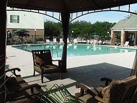 Amazing 4 Br, 4 Ba Apartment By Usf! in Tampa, FL (Photo 3 of 6)